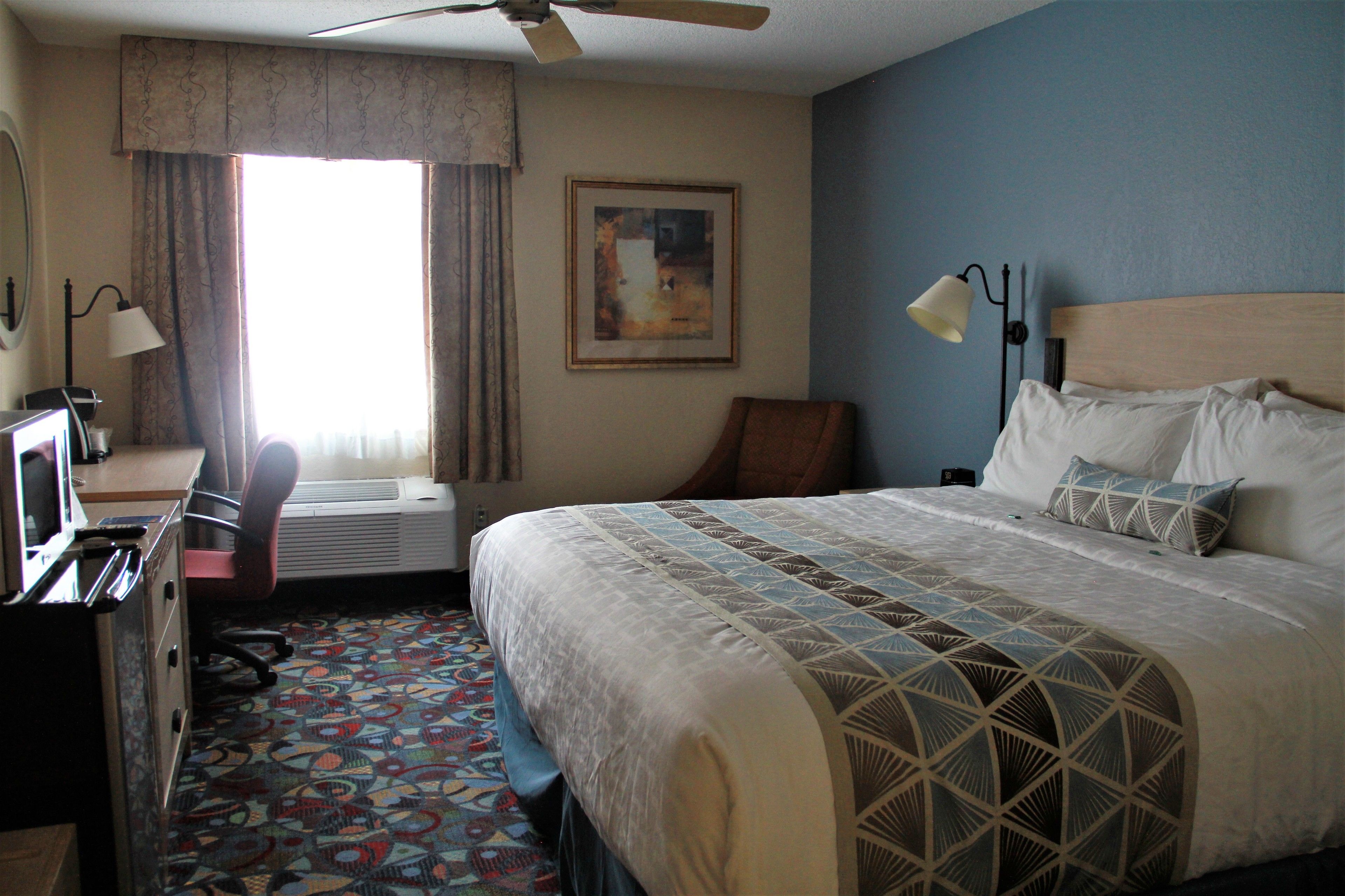 A hotel room with a bed, desk, chair, and a patterned carpet.