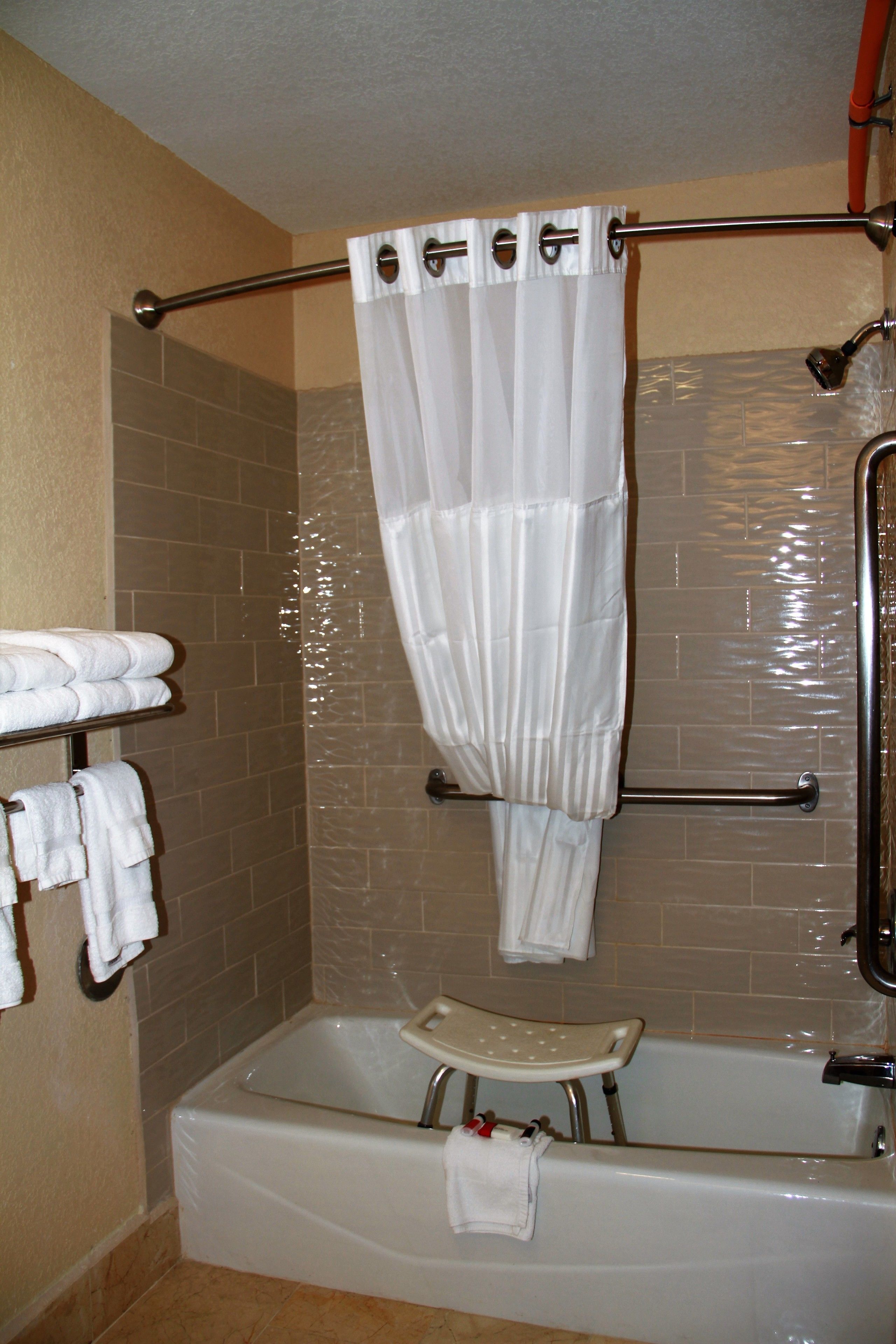 room, 1 queen bed, accessible, non smoking | bathroom shower