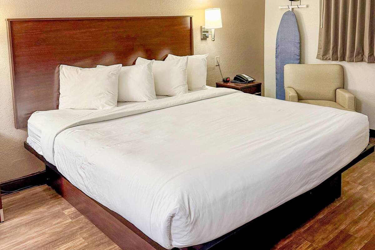 A hotel room with a large bed, a nightstand with a lamp, a chair, and a surfboard on the wall.