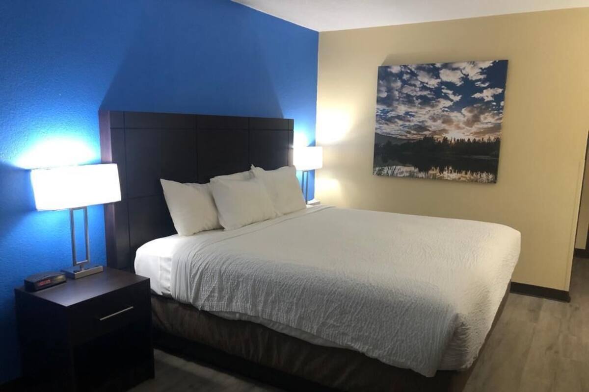 A hotel room with a large bed, two bedside lamps, a nightstand, and a painting on the wall.