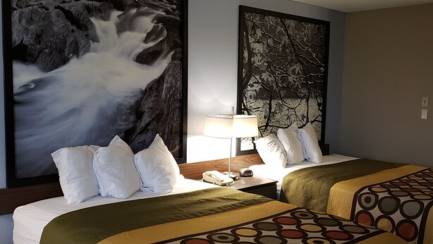Habitación de hotel con dos camas, una mesita de noche, una lámpara y dos grandes obras de arte en la pared.