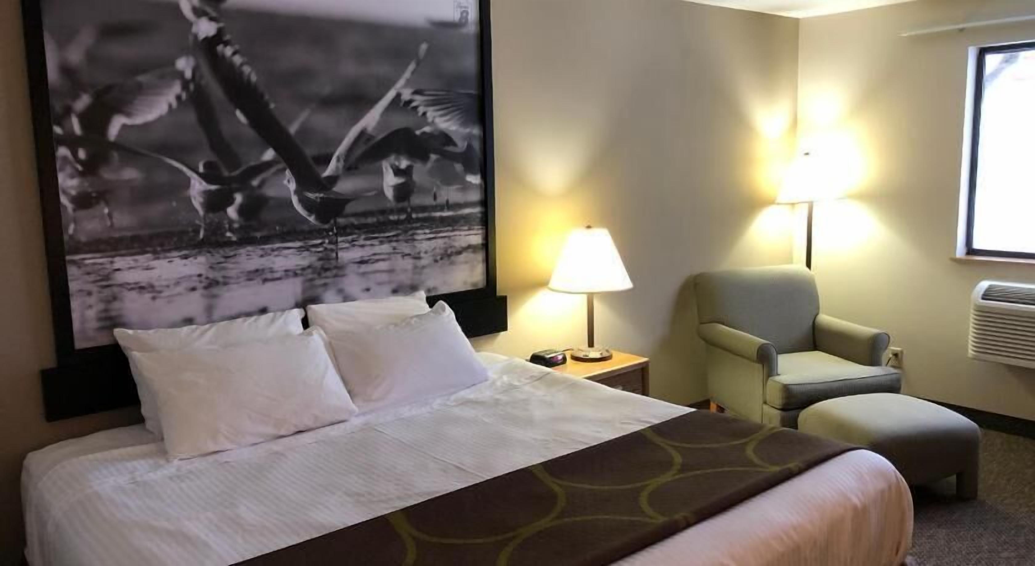 Bureau, espace de travail pour ordinateur portable, rideaux occultants