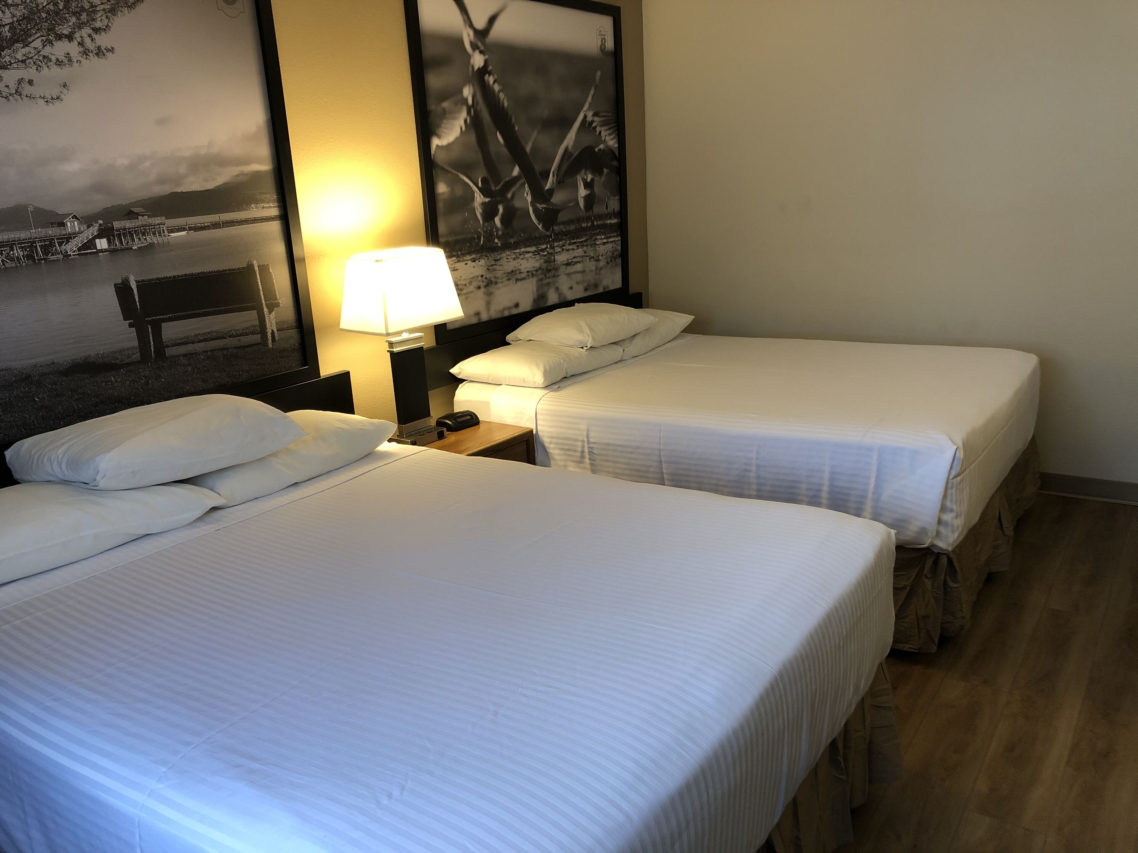 A hotel room with two beds, a nightstand with a lamp, and a wall-mounted picture.