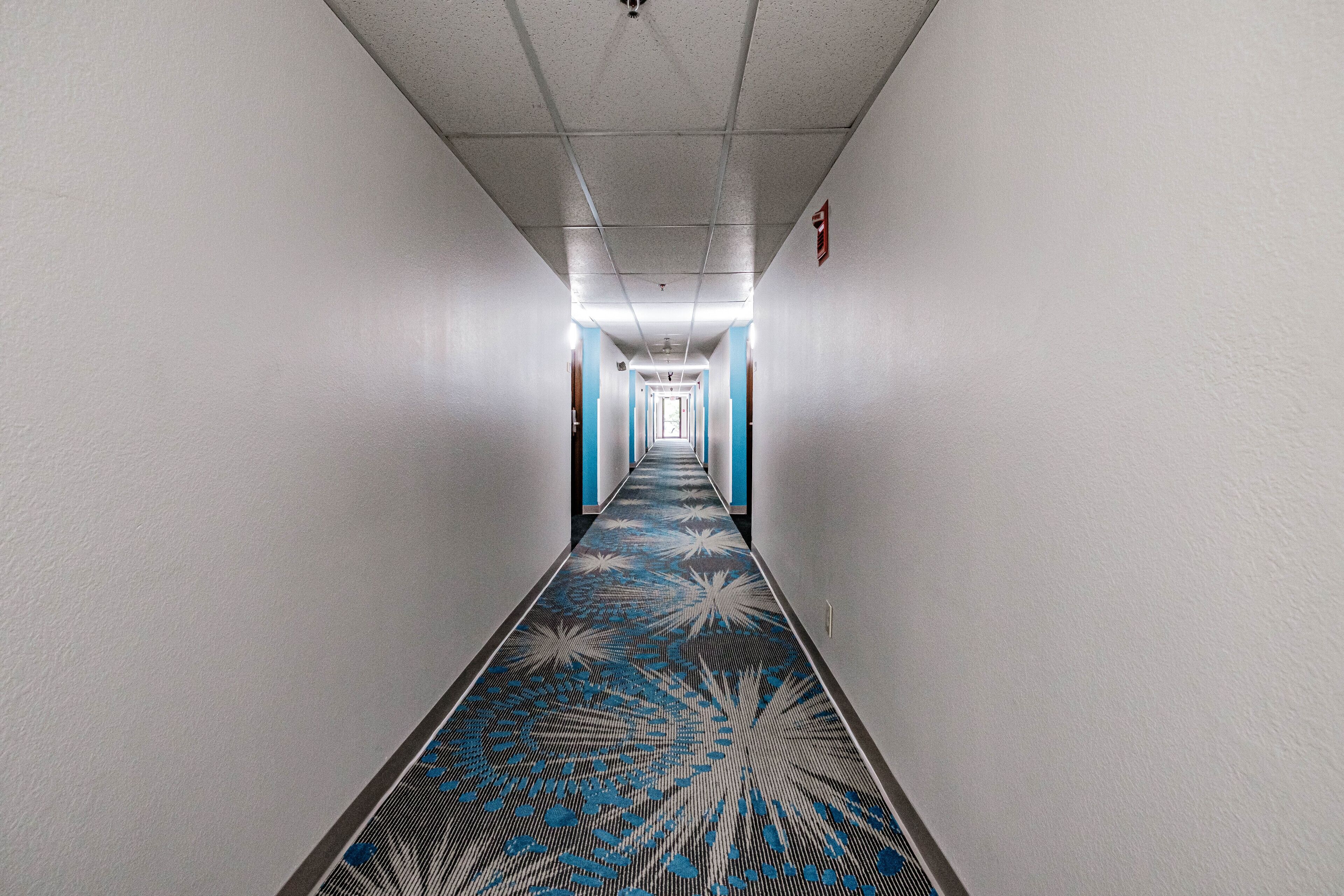 Un pasillo largo y estrecho con alfombra estampada y paredes blancas.