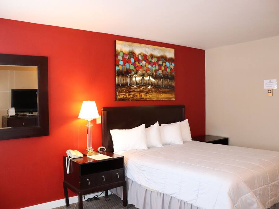 A hotel room with a red wall, a bed with white bedding, a nightstand with a lamp, and a painting above the bed.
