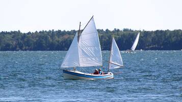 Un velero en aguas tranquilas con una orilla boscosa al fondo.