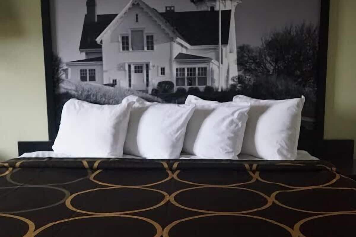 Cortinas blackout, tabla de planchar con plancha y cunas gratuitas
