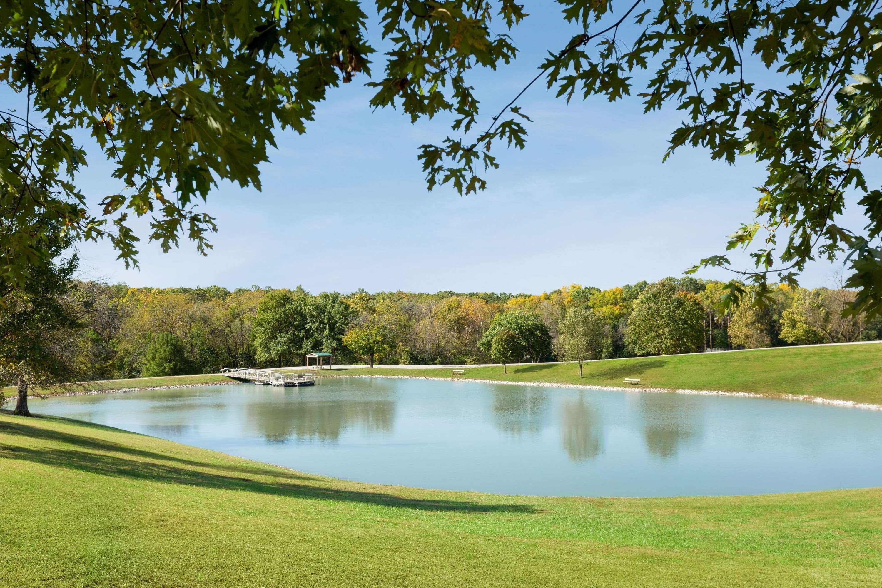 A tranquil lake with a small dock, surrounded by lush green grass and trees with autumn foliage.