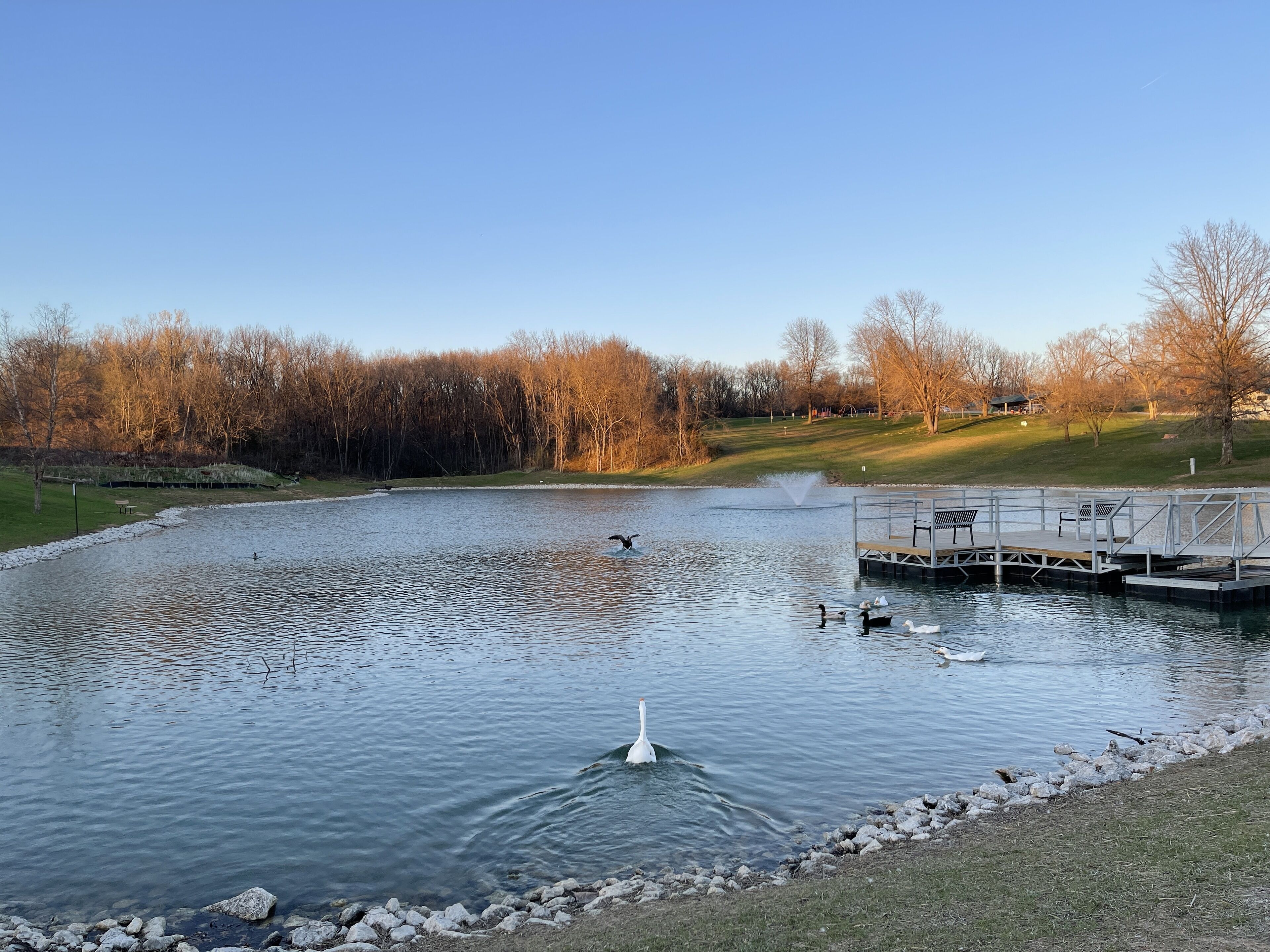 A calm lake with a fountain, surrounded by trees and a dock with benches.