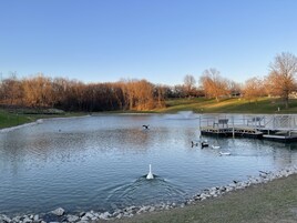 Um lago tranquilo com uma fonte, rodeado por árvores e um cais com bancos.