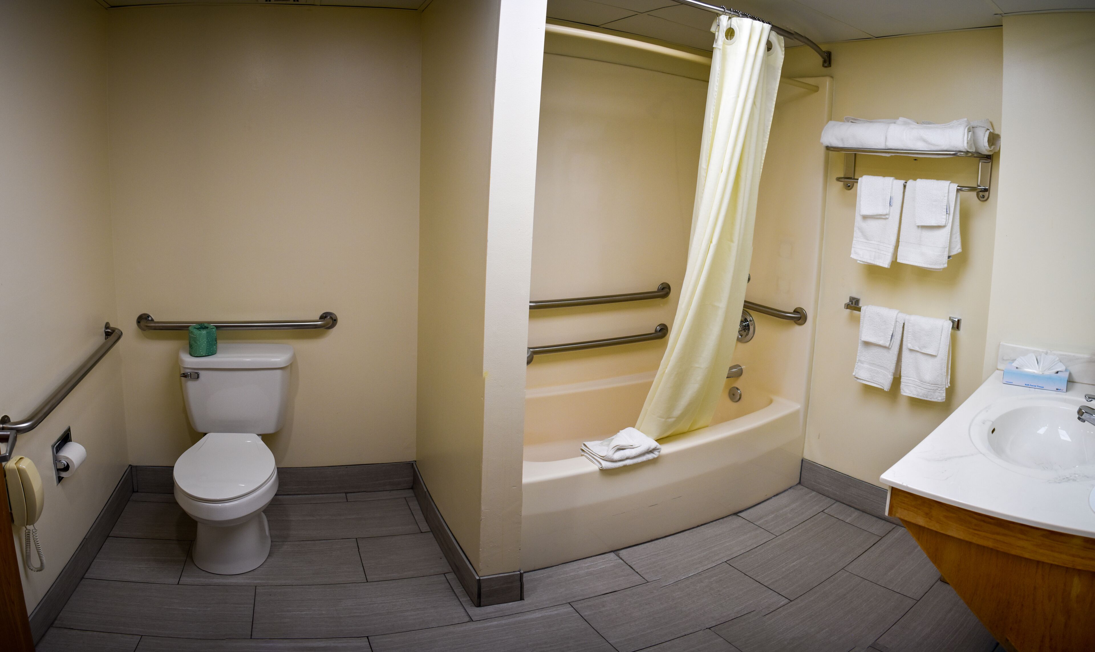 A bathroom with a toilet, a bathtub with a shower curtain, a sink, and handrails.