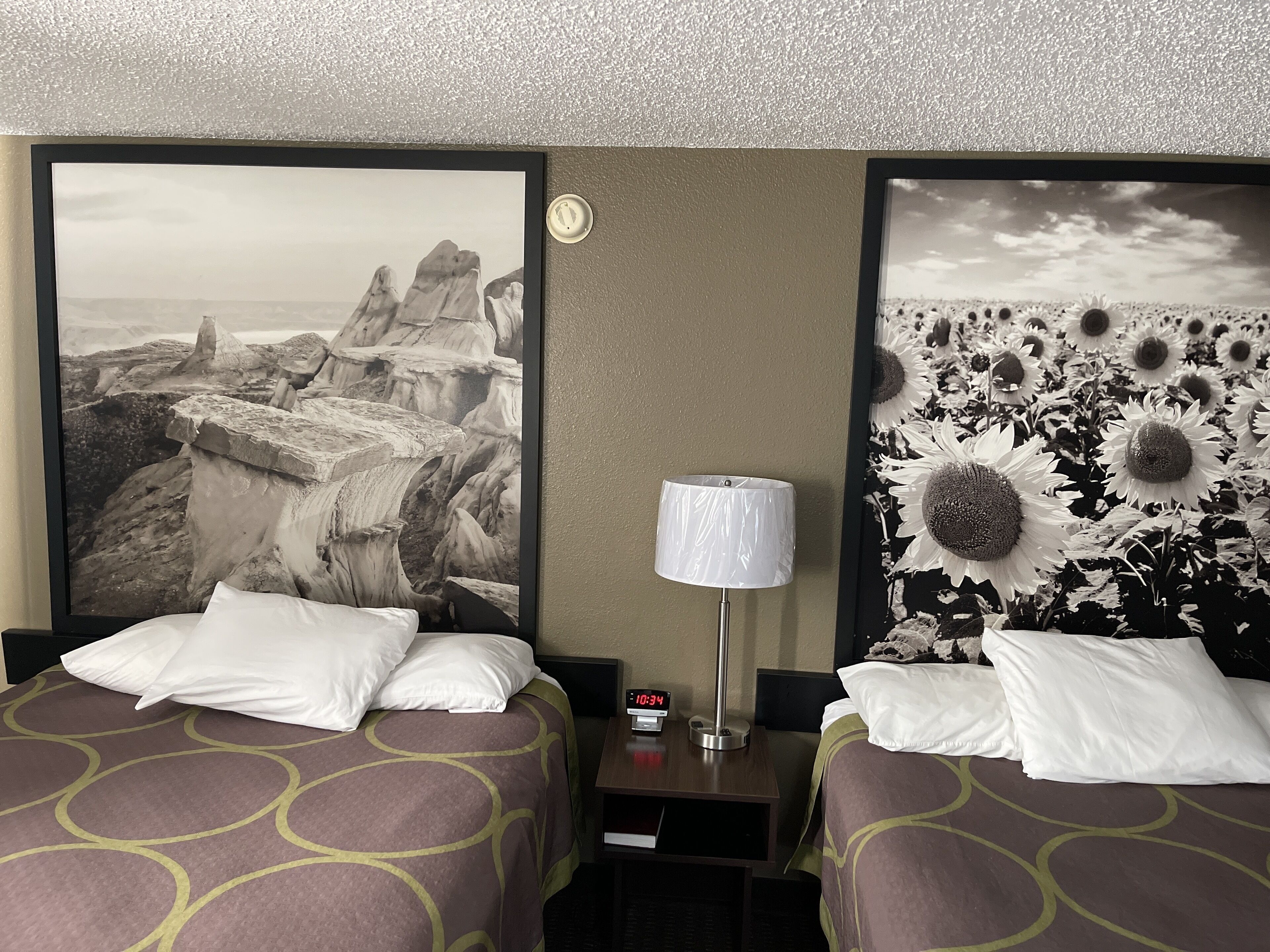 standard room, 2 queen beds | 2 bedrooms, in-room safe, desk, laptop workspace