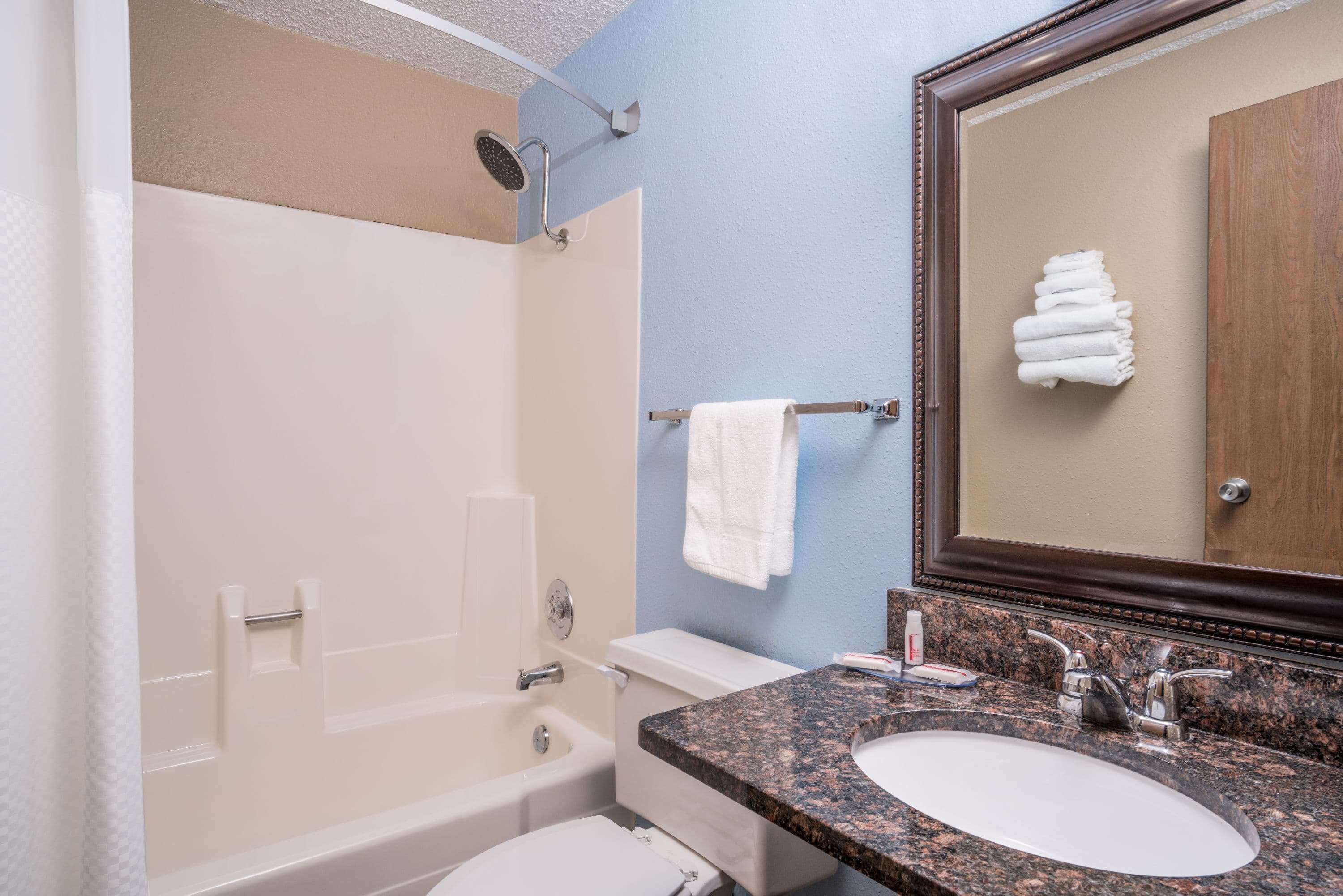 combined shower/bathtub, free toiletries, hair dryer, towels