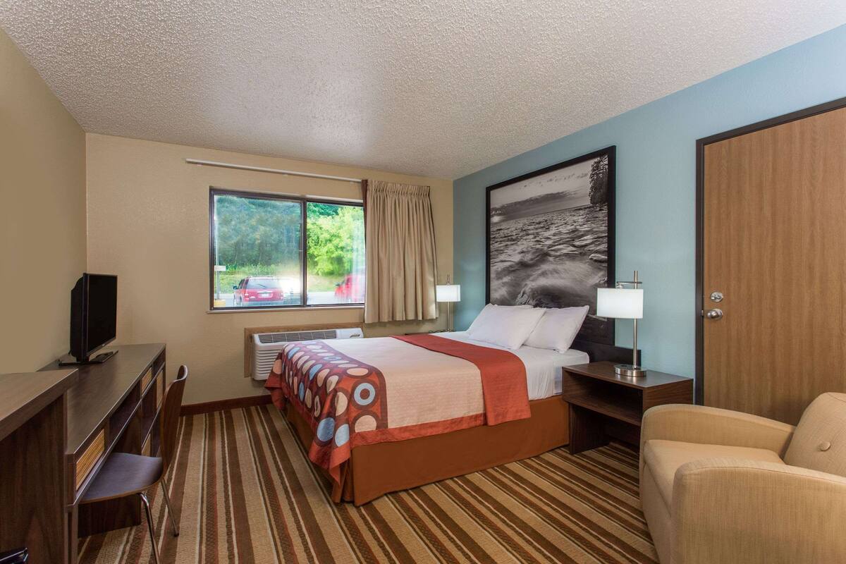 Hotelkamer met een bed, een televisie, een bureau, een stoel, een raam met uitzicht op groen en een schilderij aan de muur.