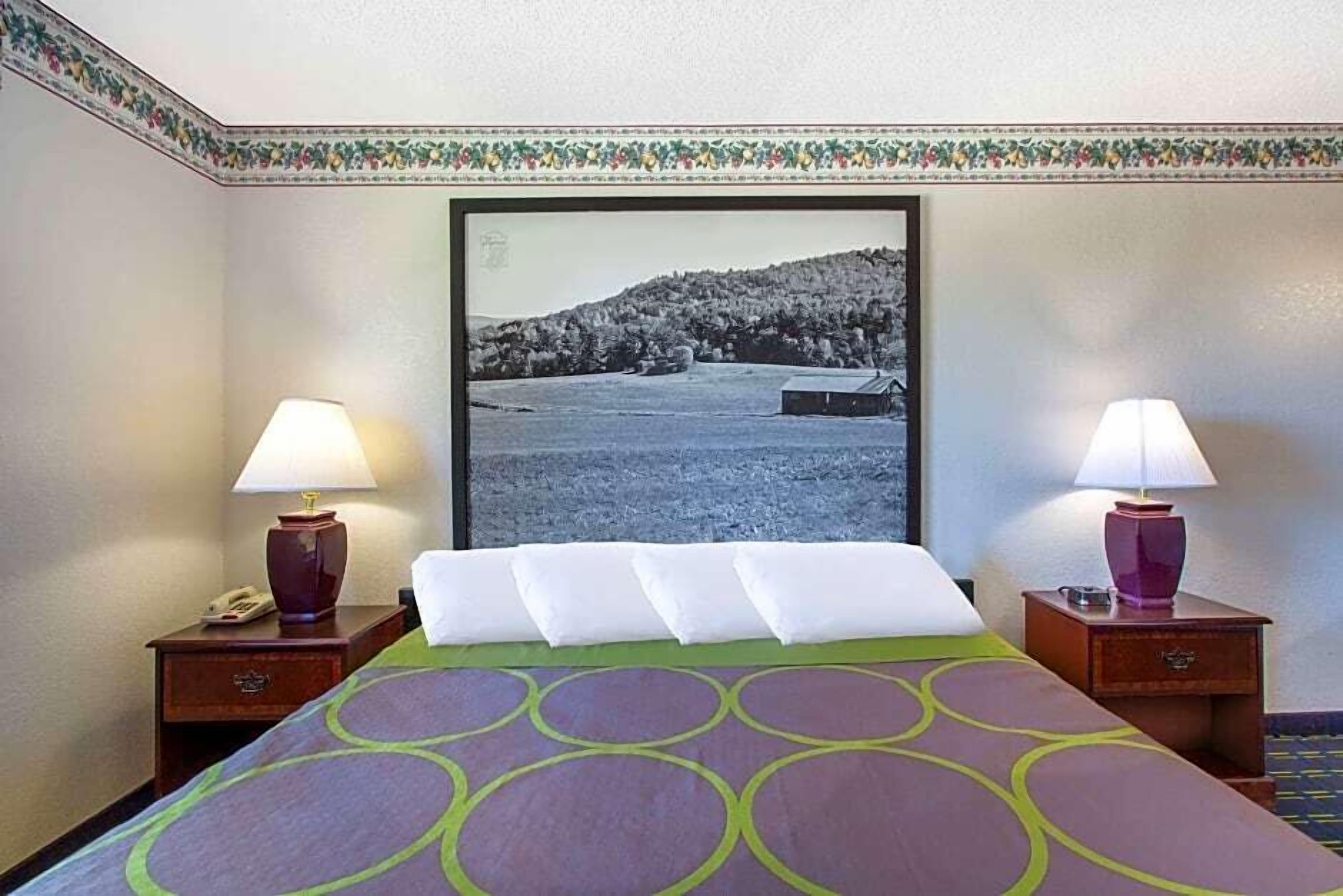Una habitación de hotel con cama, dos mesitas de noche, una lámpara en cada una, un cuadro enmarcado en la pared y una colcha estampada.