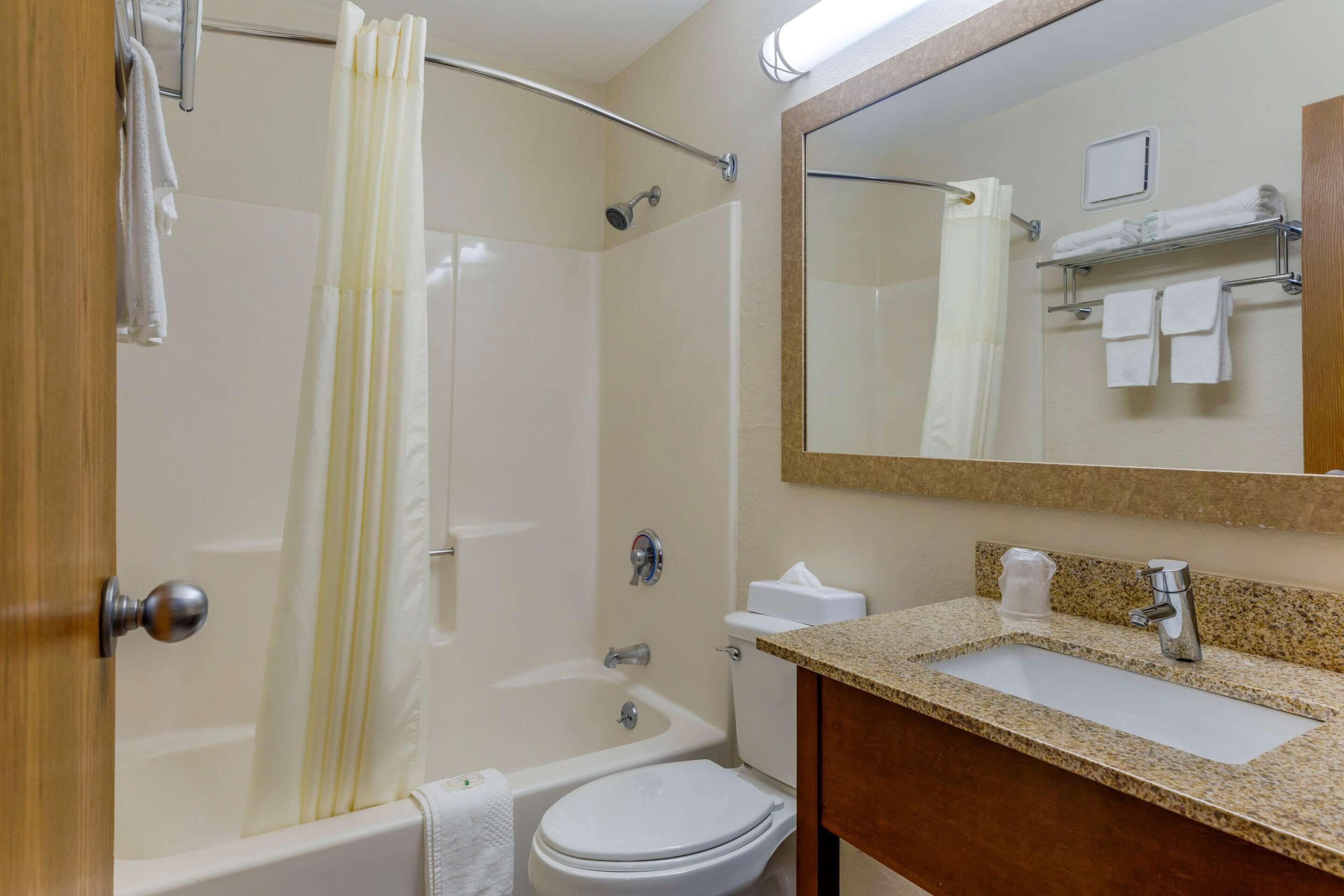 Un baño con bañera, inodoro, lavabo y espejo.