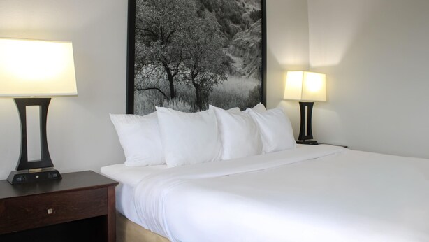 Una cama bien hecha con sábanas blancas, dos lámparas de noche, una mesita de noche de madera oscura con un cajón y un gran cuadro en blanco y negro con un paisaje en la pared.