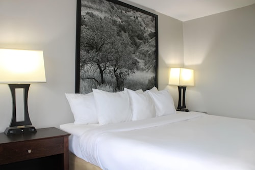 北达科他威利斯顿温德姆速 8 酒店