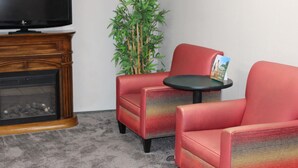 Habitación de esquina con chimenea, televisor, dos sillones rojos, una mesita redonda y una planta verde.