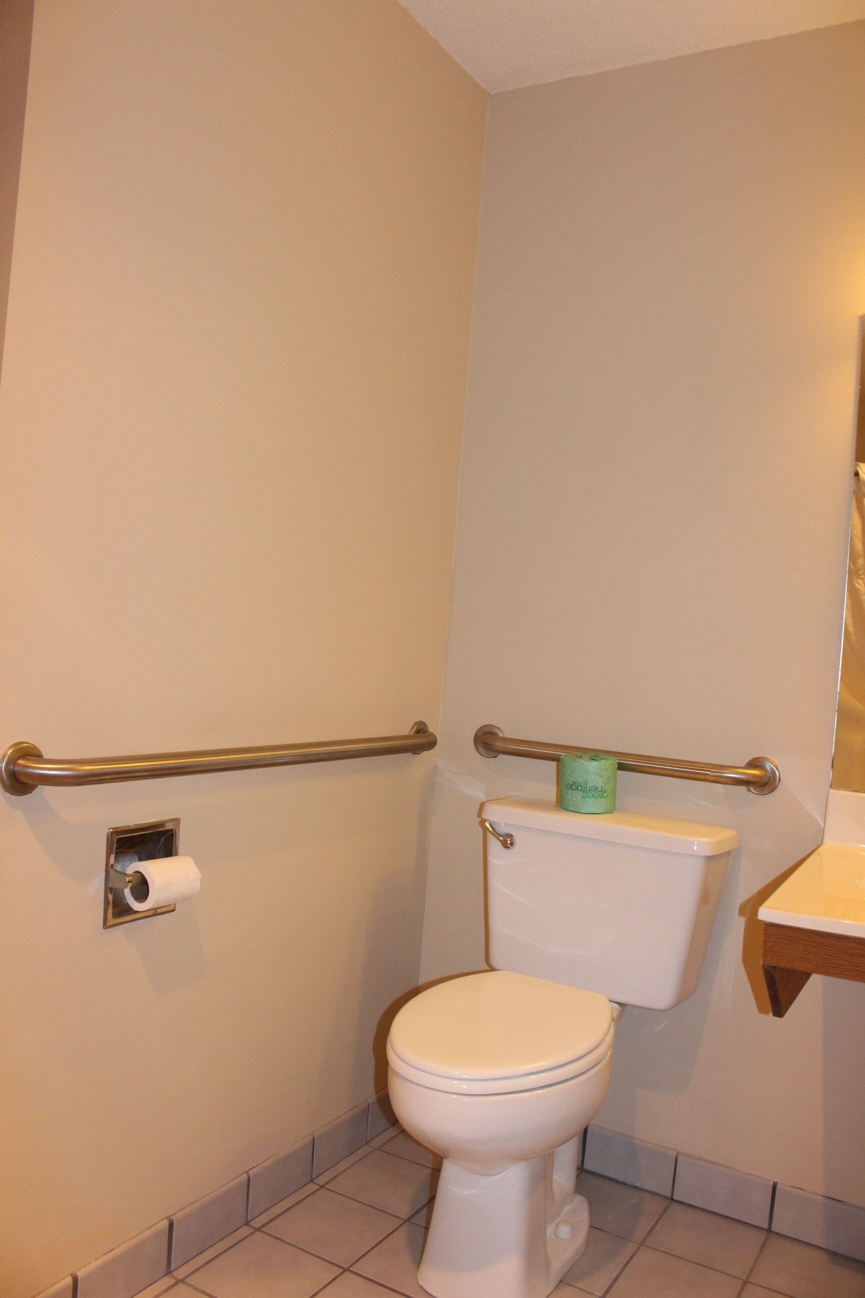Un baño pequeño y limpio con inodoro, barra de apoyo y porta papel higiénico.