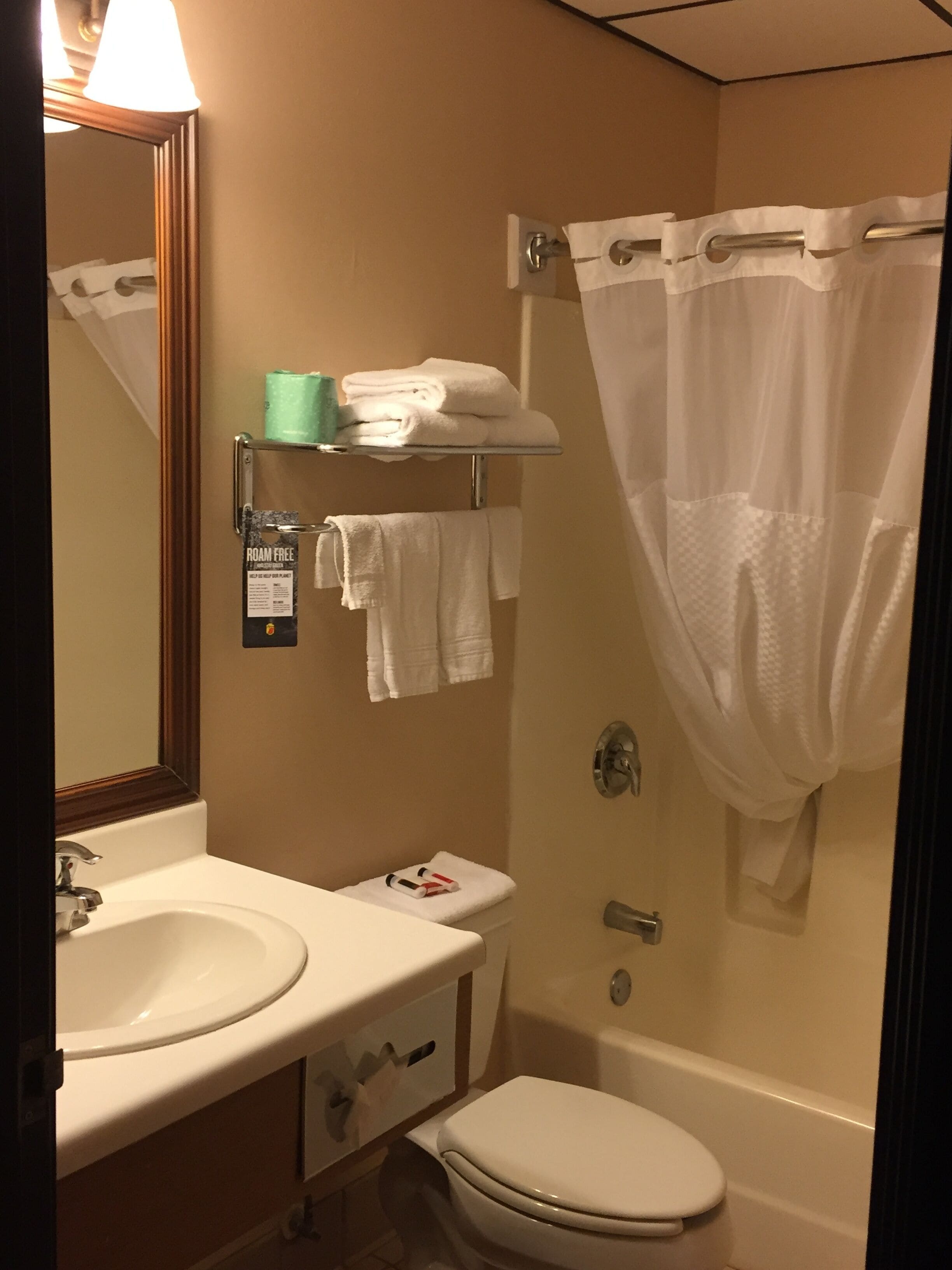 Combined shower/bathtub, free toiletries, hair dryer, towels