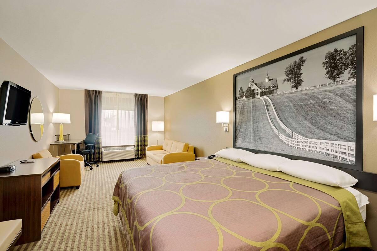 A hotel room with a large bed, a desk, a chair, a television, and a painting on the wall.