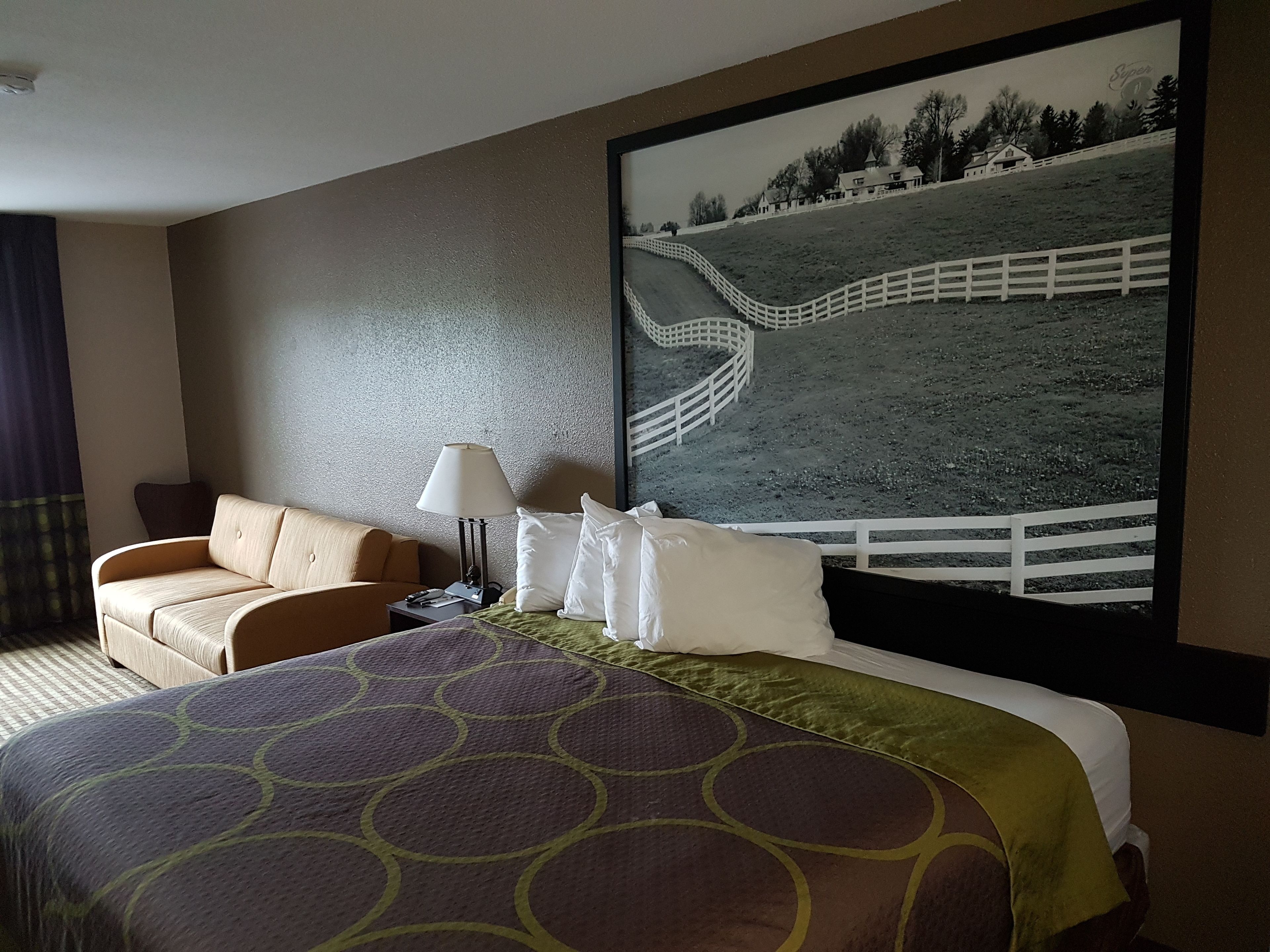 A hotel room with a large bed, a sofa, a nightstand with a lamp, and a framed picture of a landscape on the wall.