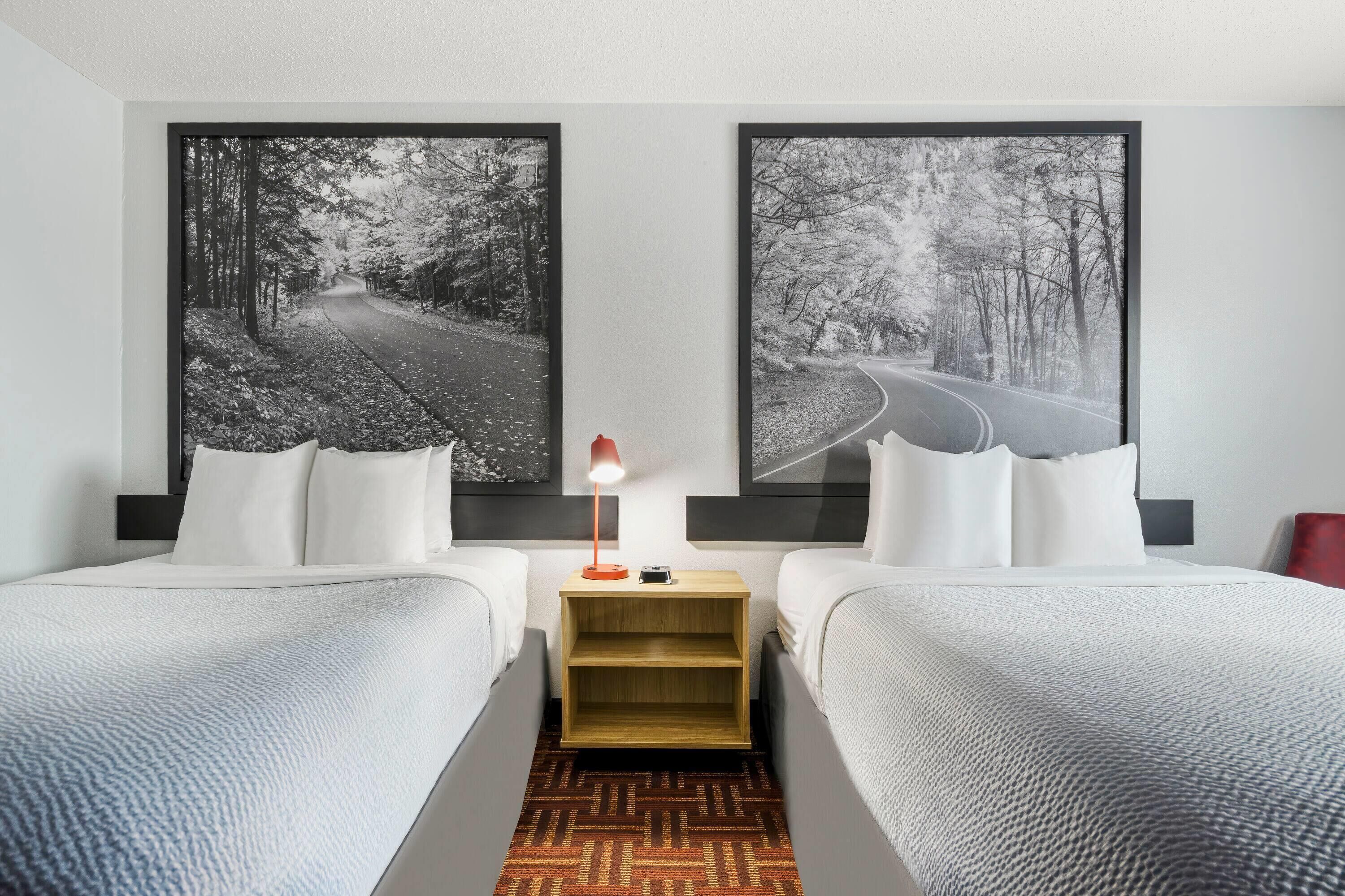 A hotel room with two beds, a nightstand with a lamp, and two large framed pictures of a forest road.