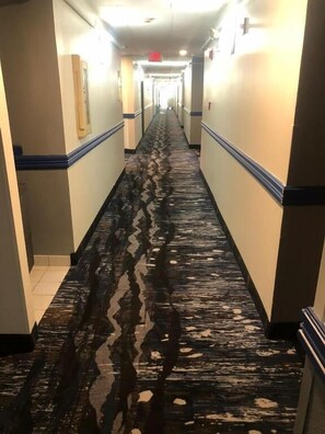A hotel hallway with a wet floor, walls with blue trim, and doors on either side. - Coratel Inn & Suites By Jasper Northfield (Northfield)