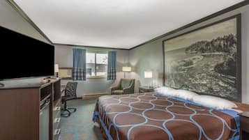 Desk, free cribs/infant beds, rollaway beds, free WiFi