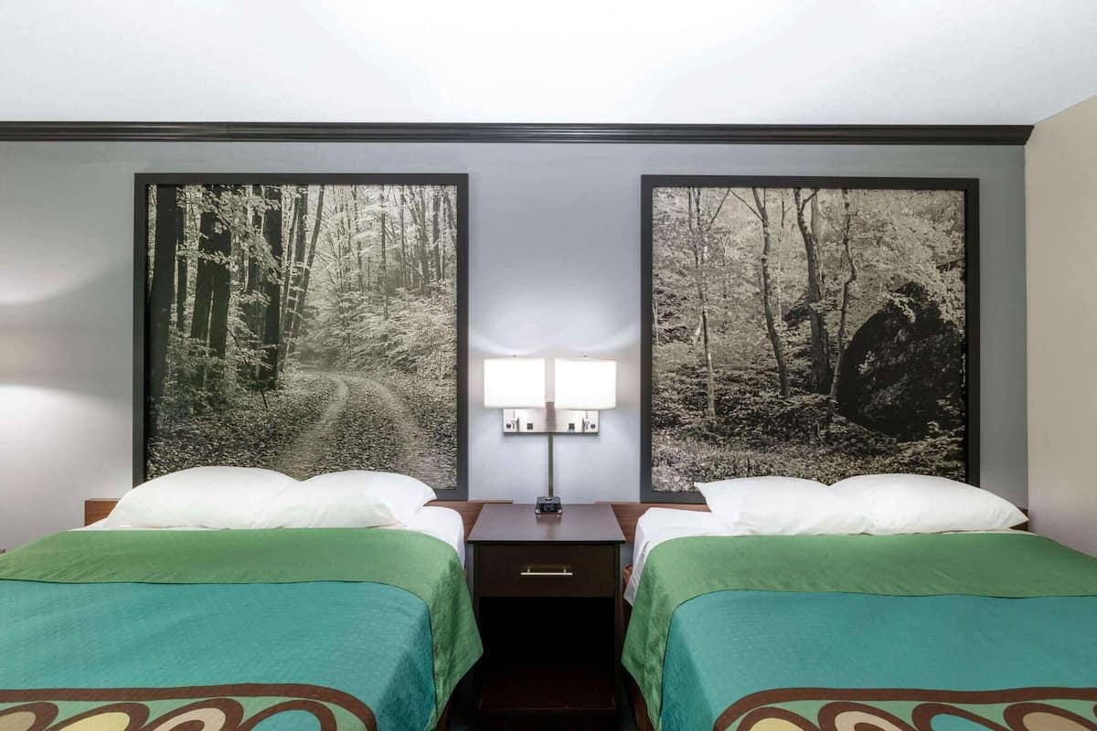 A hotel room with two beds, a nightstand, a wall-mounted lamp, and forest-themed artwork on the walls.