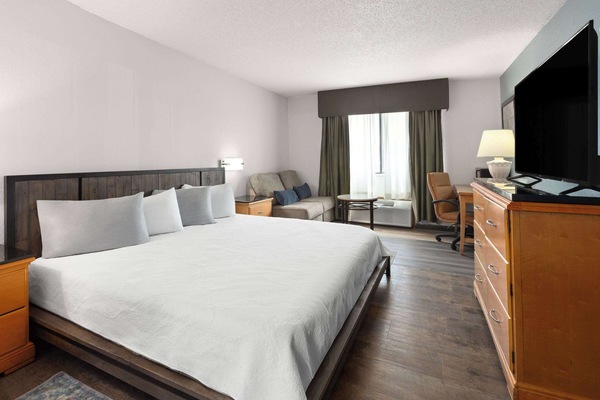 Desk, cribs (free), rollaway beds (surcharge), WiFi (free)