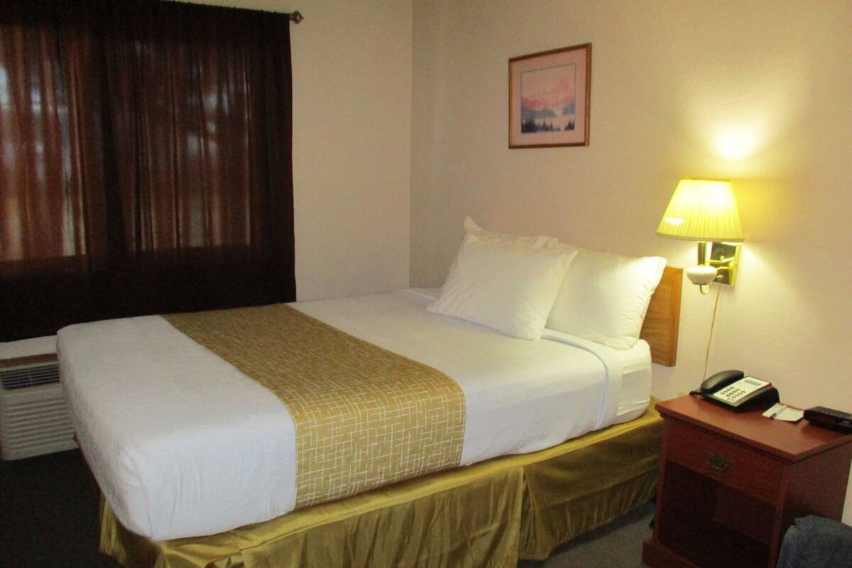 A hotel room with a bed, a bedside lamp, a phone, and a picture on the wall.