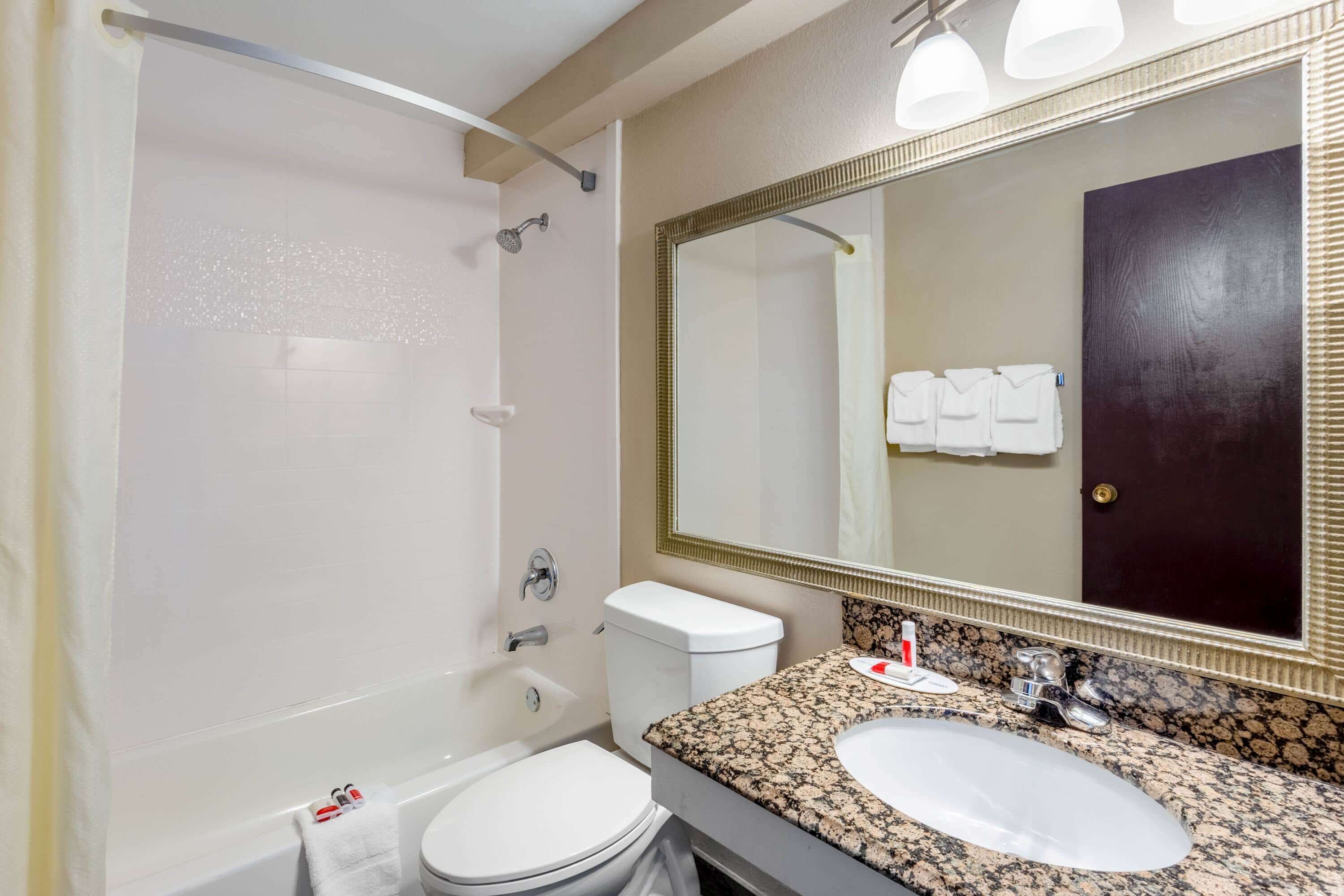 Une salle de bain avec une baignoire, des toilettes, un lavabo et un grand miroir.