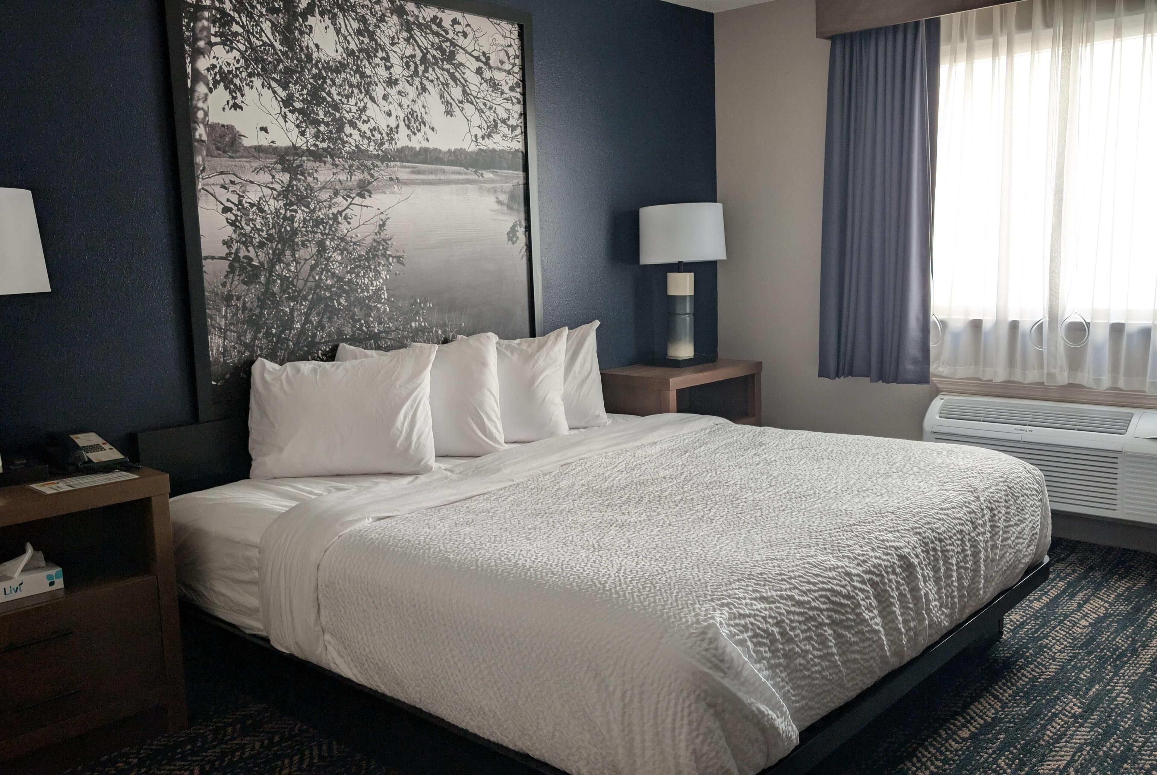 룸, 킹사이즈침대 1개, 금연 (Bathtub w/ Grab Bars) | 저자극성 침구, 객실 내 금고, 책상, 암막 커튼