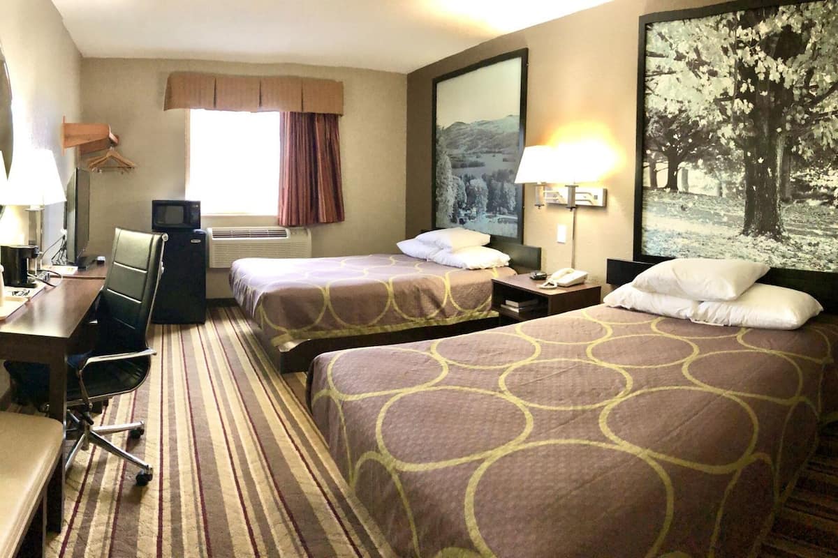 Une chambre d’hôtel avec deux lits, un bureau, une chaise, un miroir, une télévision et un tableau au mur.