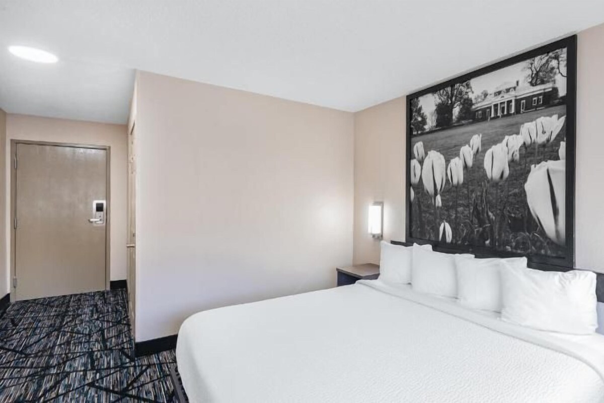 A hotel room with a large bed, a door, a hallway, and a wall-mounted artwork.