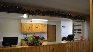 Zona de recepción con armarios de madera, mostrador de recepción, dos monitores de computadora y una planta en maceta.