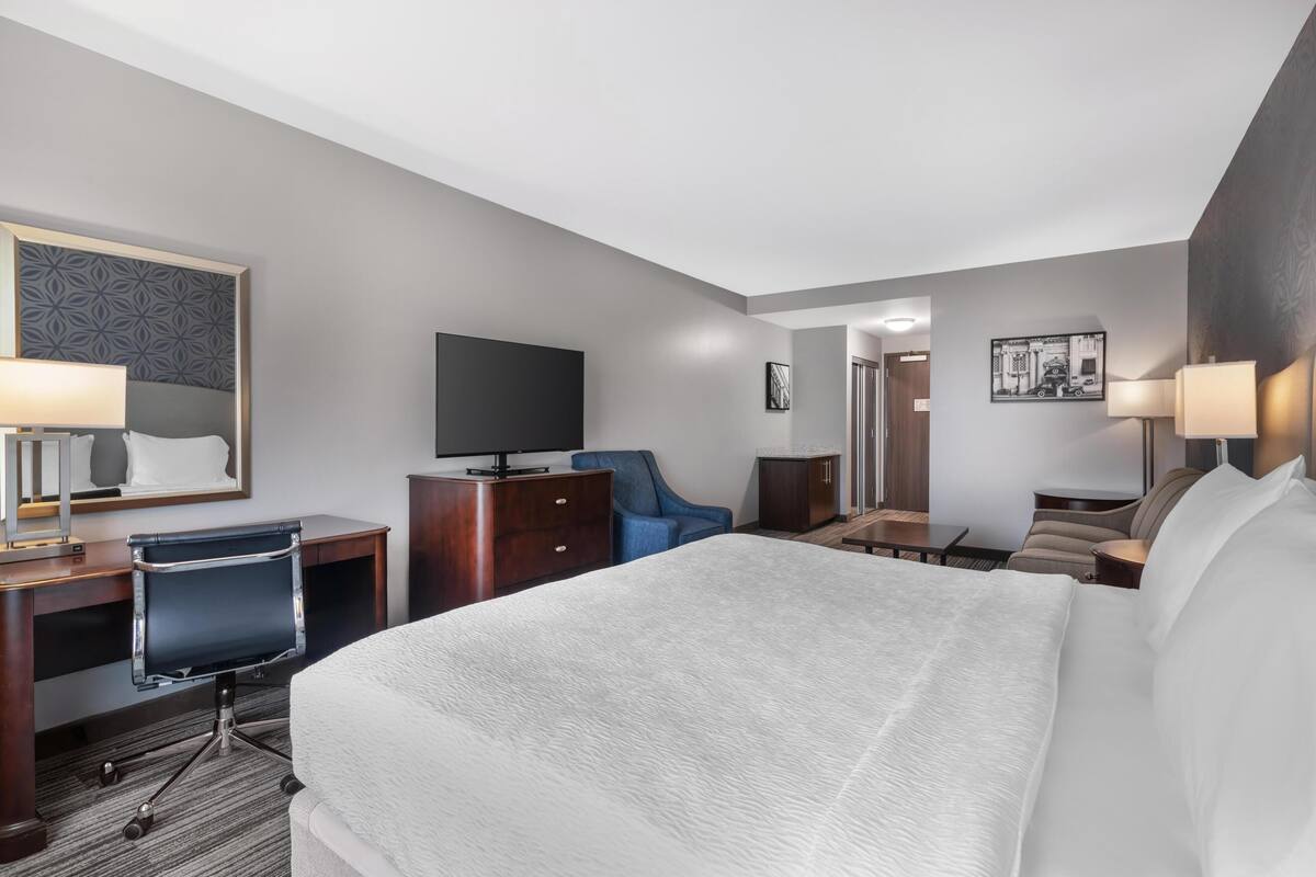 Standard Room, 1 King Bed, Non Smoking (Larger Room;with Sofabed)