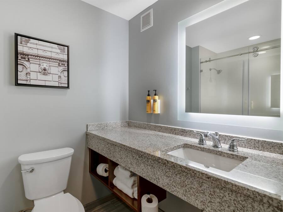 A bathroom with a toilet, a sink, a mirror, and a framed picture on the wall.