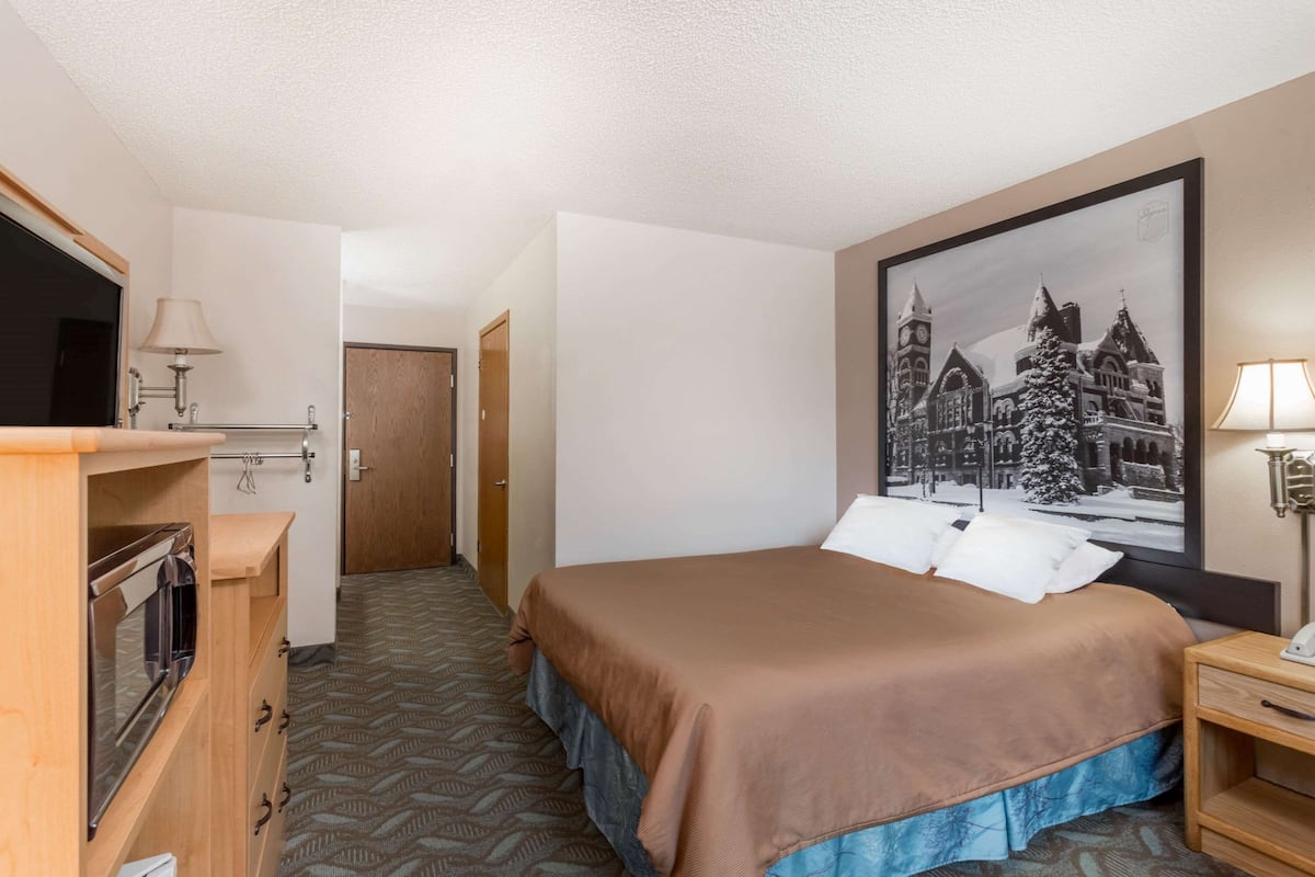 Une chambre d’hôtel avec un lit, une télévision, une commode en bois et un tableau encadré au mur.