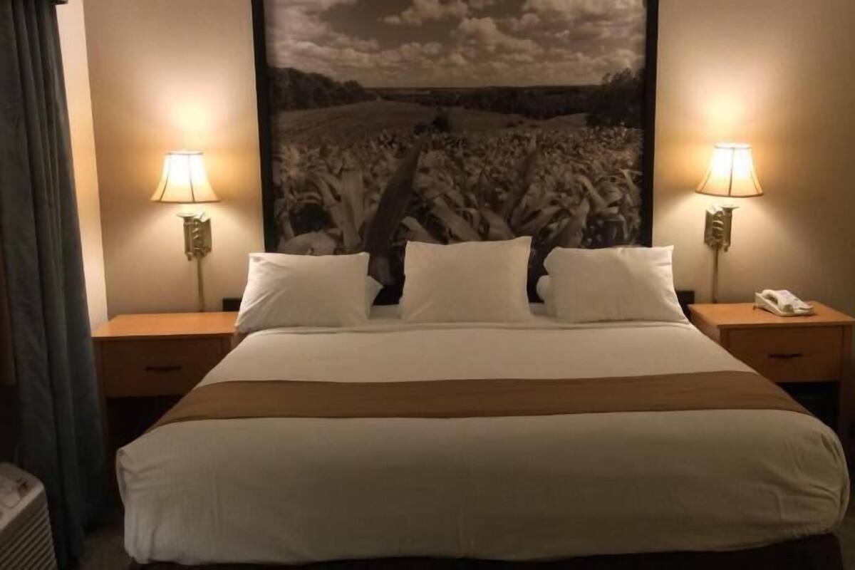 Une chambre d’hôtel avec un grand lit, deux lampes de chevet, un téléphone et un climatiseur fixé au mur.