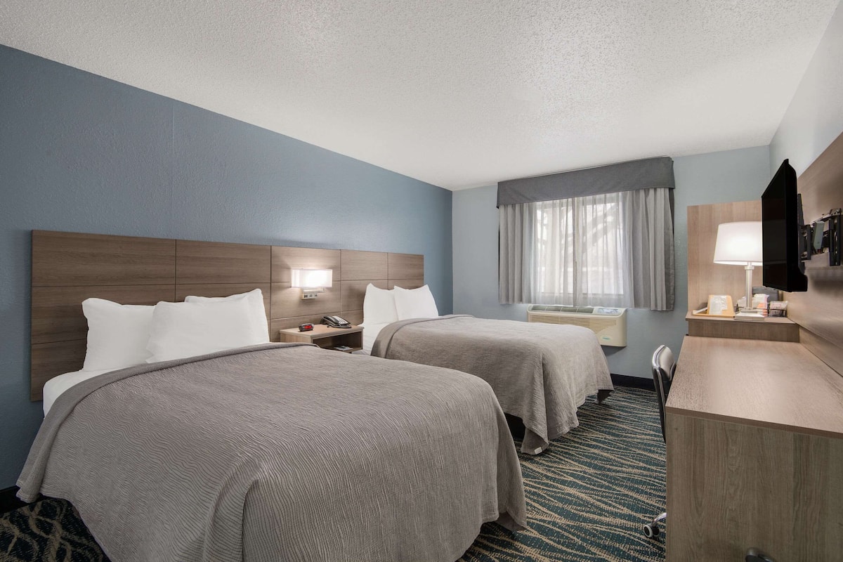 Premium bedding, desk, blackout curtains, soundproofing