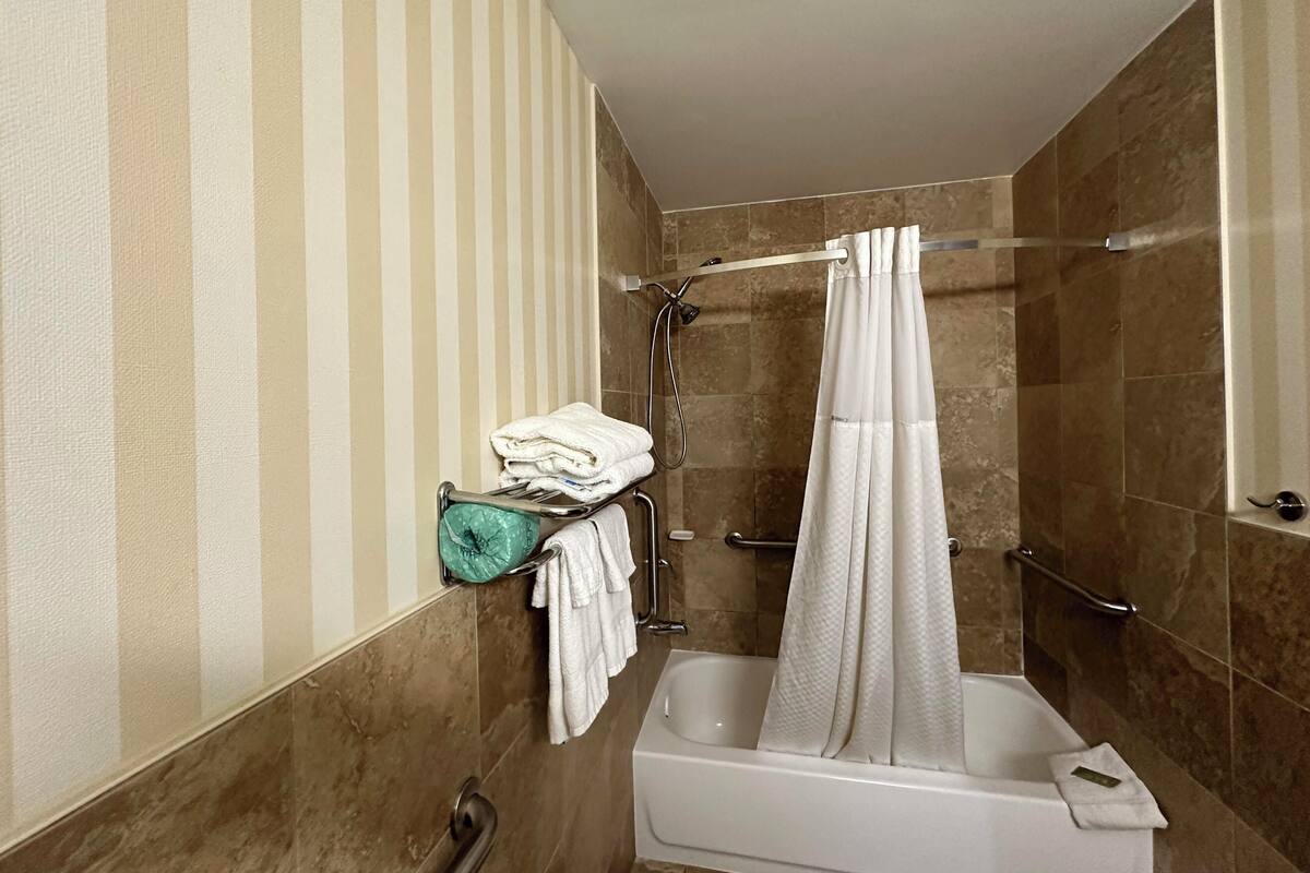 A bathroom with a shower, a bathtub, a towel rack, and a handrail.