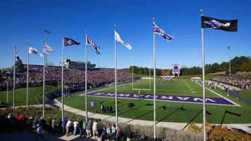 A stadium with multiple flags, a football field, and a crowd of spectators.