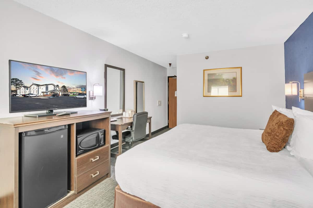 A hotel room with a bed, a desk with a television, a refrigerator, a chair, and a framed picture on the wall.