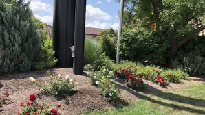 Un jardín con flores rojas y blancas, una zona de césped y una estructura alta.