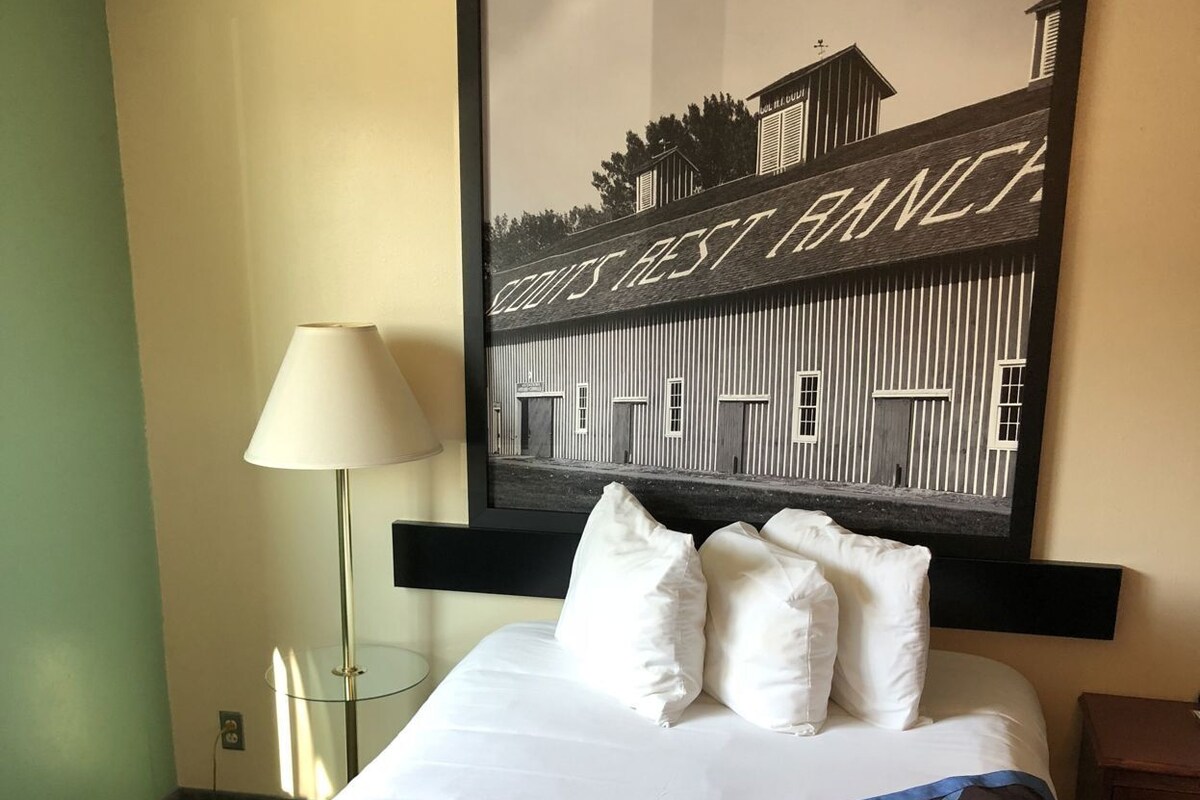 Habitación de hotel con cama, almohadas, un cuadro enmarcado de un edificio, una lámpara y una mesita de noche.