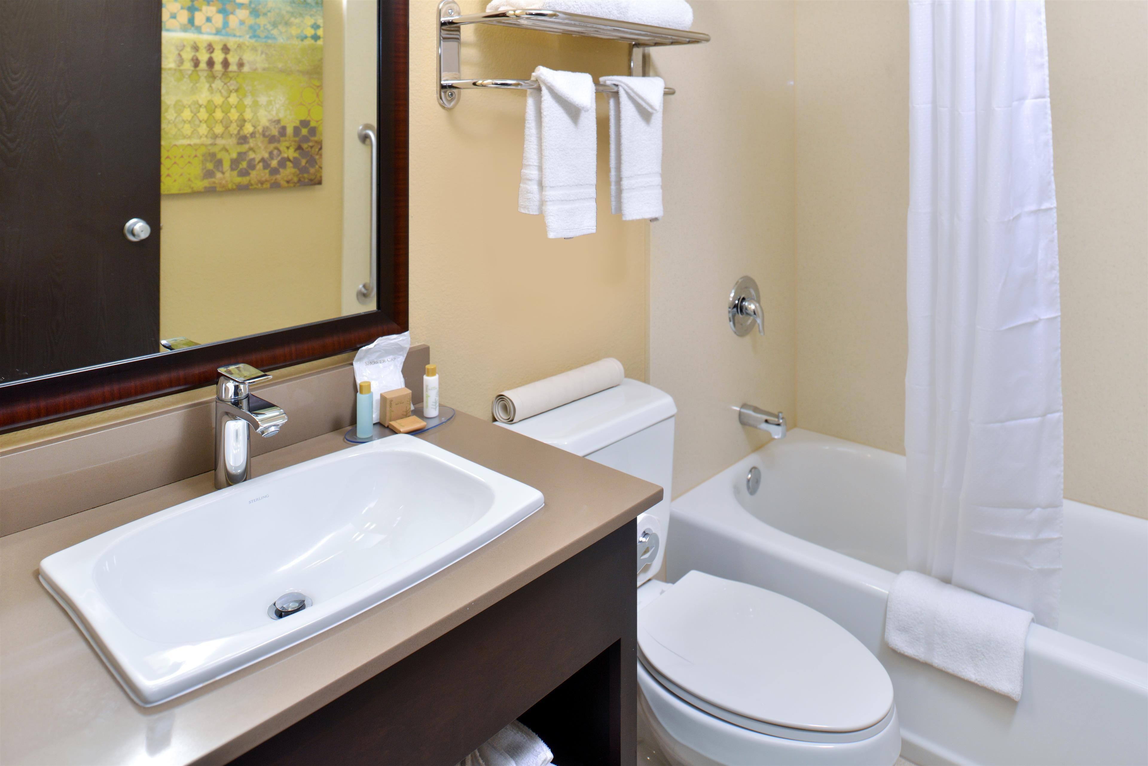 combined shower/bathtub, free toiletries, hair dryer, towels