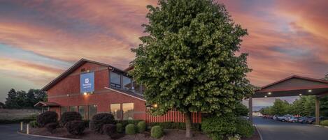 Ein SureStay Hotel mit einem großen Baum davor, einem Parkplatz und einem Sonnenuntergangshimmel.